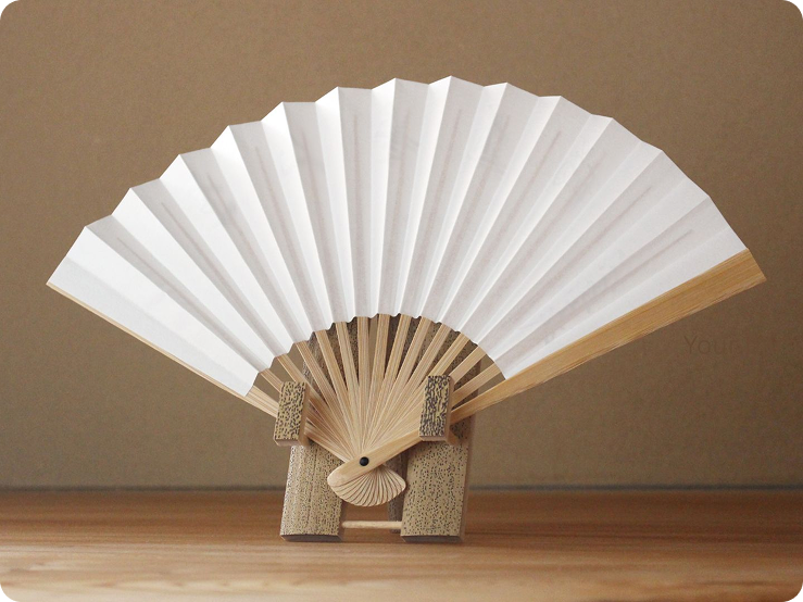 3D Fan